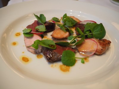 Pigeon and rabbit salad