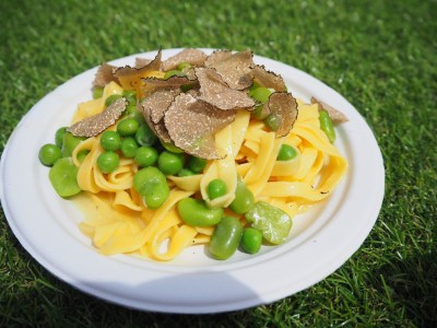 Disappointing fettuccine