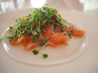 Another starter - slightly fishy salmon